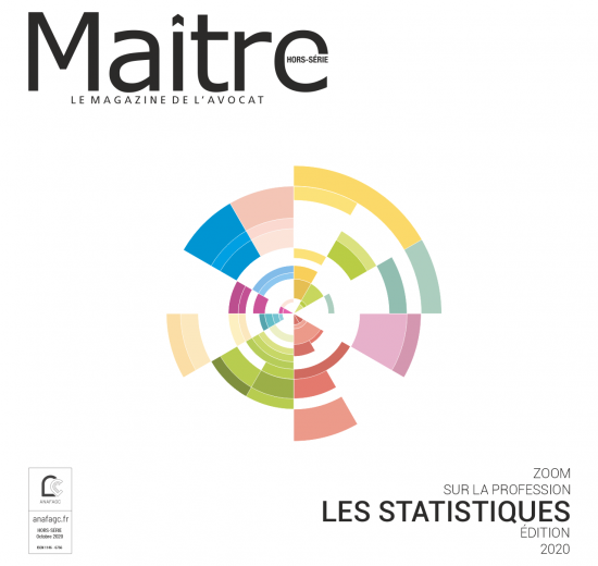 Hors-série Statistiques 2020 | Zoom sur la profession